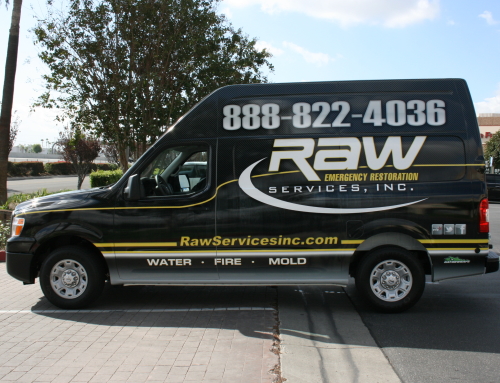 Raw Services Inc